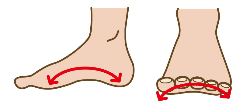 外反母趾の足裏アーチについて。足裏の筋力低下が外反母趾を引き起こす